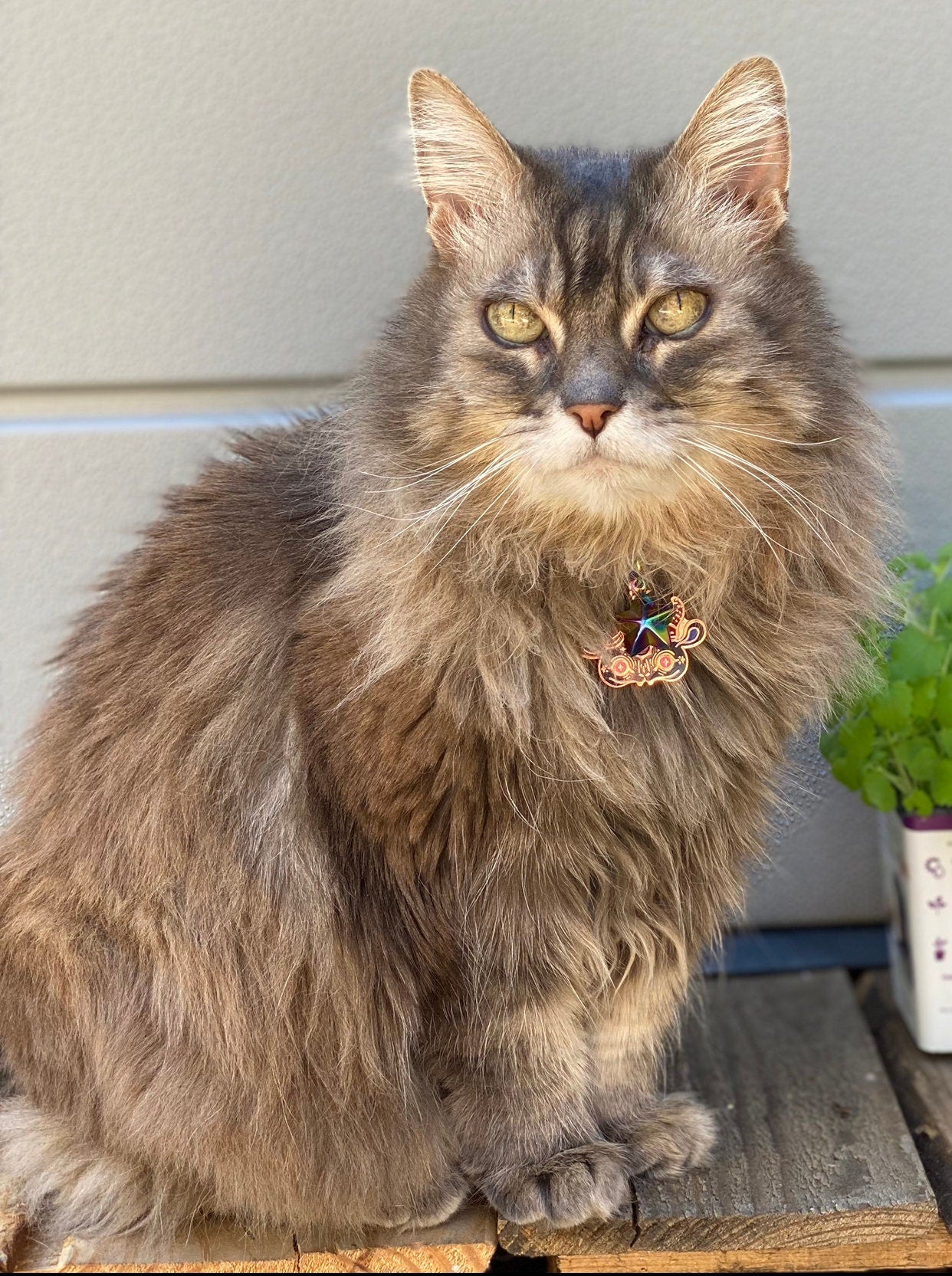 Mischief Maker - Familiar Keychain