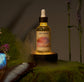 Nectar of Dawn - Body Oil Elixir